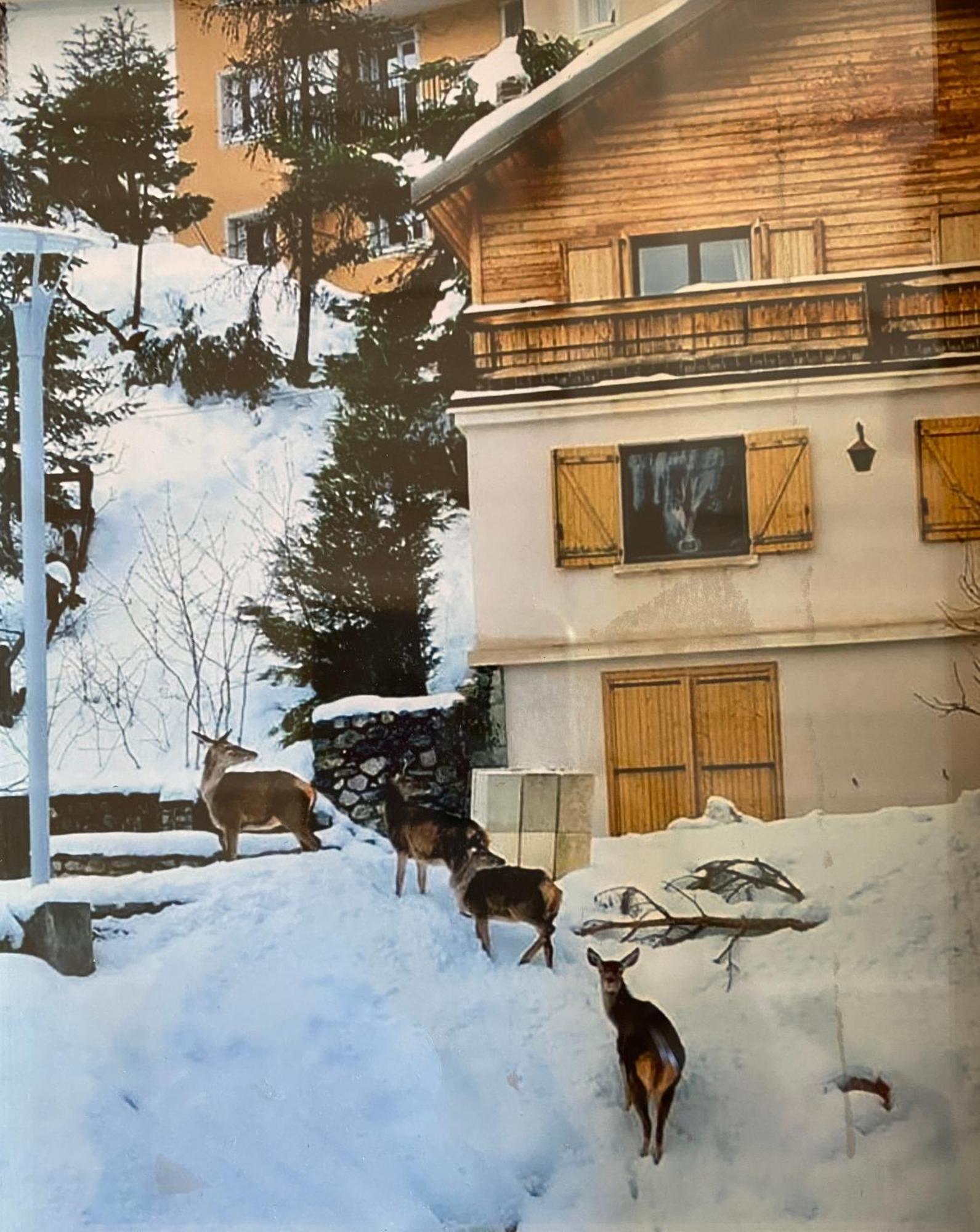 Chalet Familial Орон Экстерьер фото